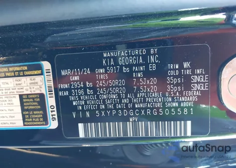 2024 Kia Telluride Ex from USA, damaged, VIN 5XYP3DGCXRG505581